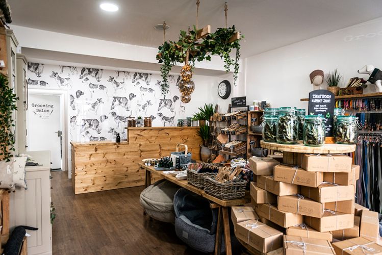 Bark Avenue Shop Layout